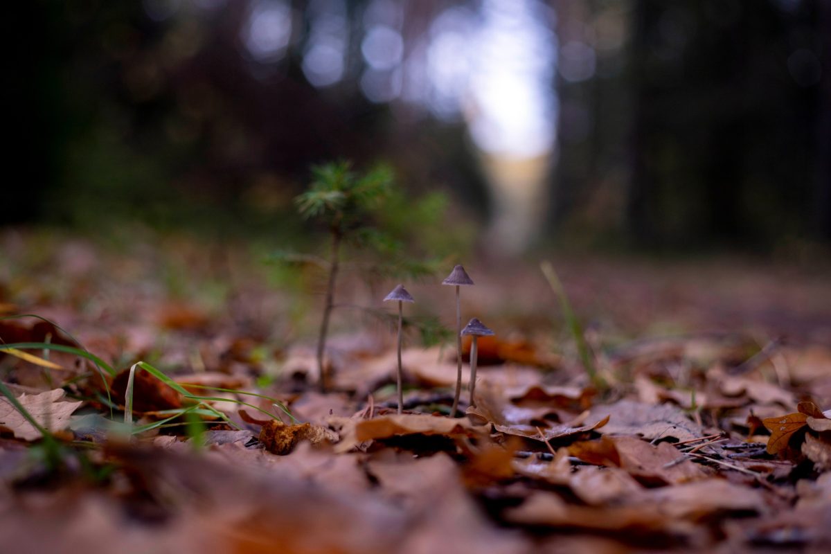 Врачи рассказали, почему осенью портится настроение и как с этим бороться